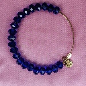 Alex and Ani Deep Blue Crystal Bracelet